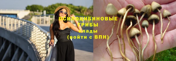 молекула духа Магадан