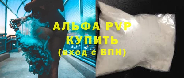 молекула духа Магадан