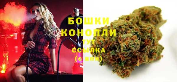 молекула духа Магадан
