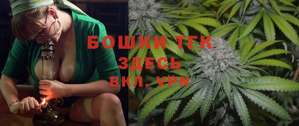 молекула духа Магадан