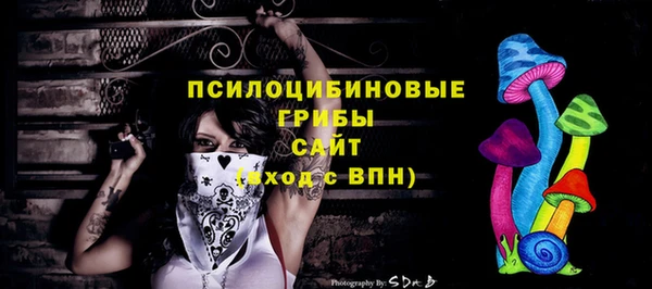 молекула духа Магадан