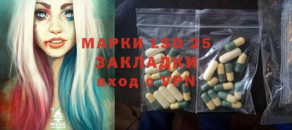 молекула духа Магадан
