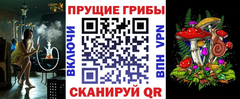 Псилоцибиновые грибы Cubensis  Монино 